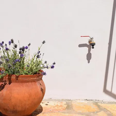 Aparthotel Kristina 3*