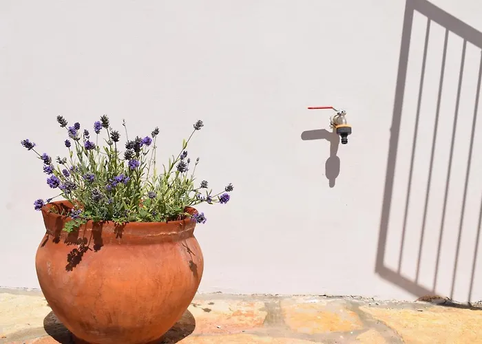 Aparthotel Kristina 3*